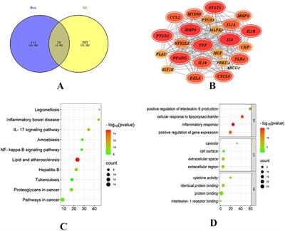 Investigating the mechanisms of resveratrol in the treatment of gouty arthritis through the integration of network pharmacology and metabolics